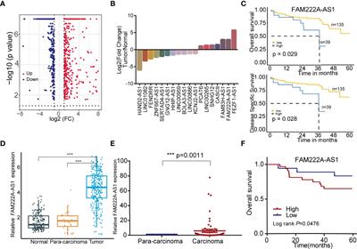 The Long Non-Coding RNA FAM222A-AS1 Negatively Modulates MiR-Let-7f to Promote Colorectal Cancer Progression